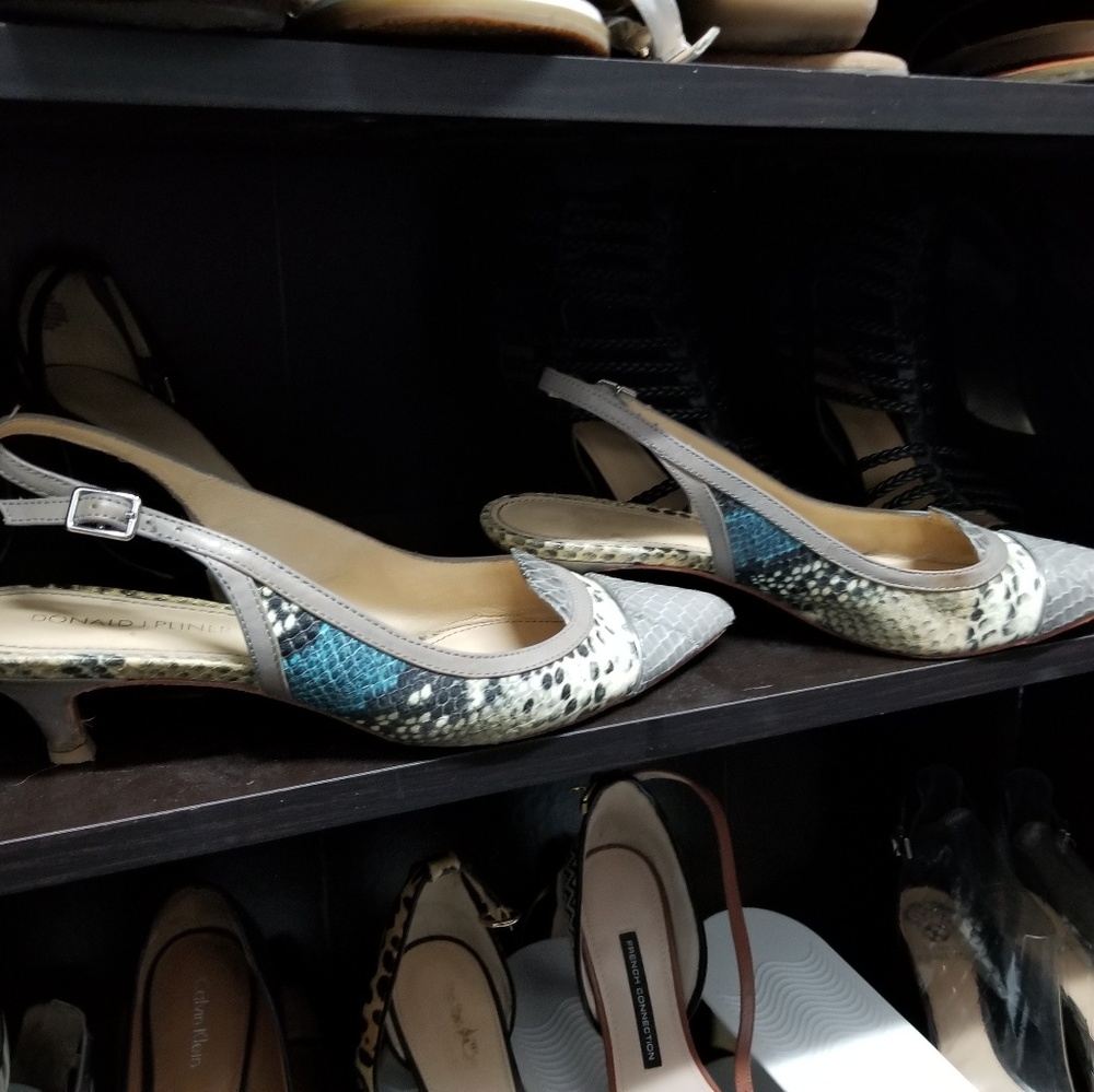 David Pliner kitten heels